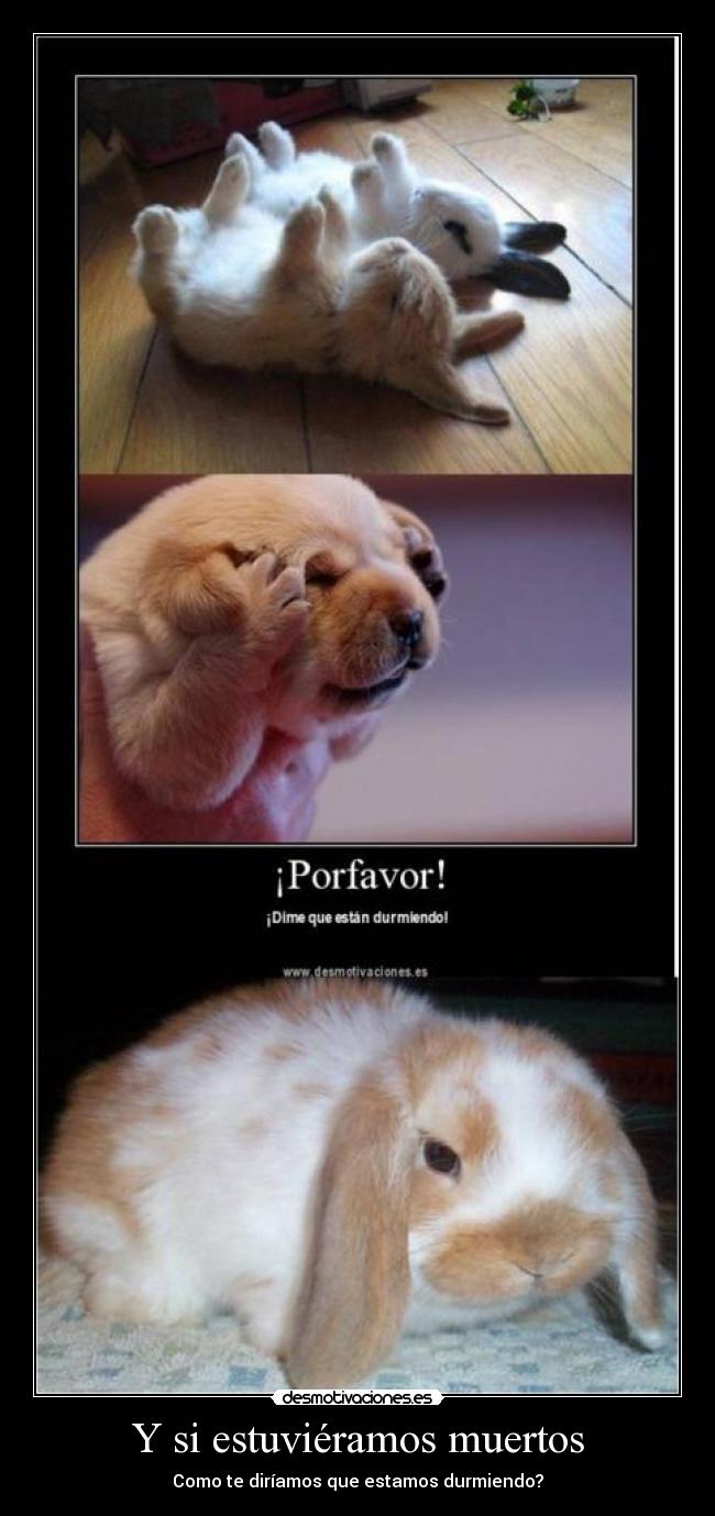 Y si estuviéramos muertos -