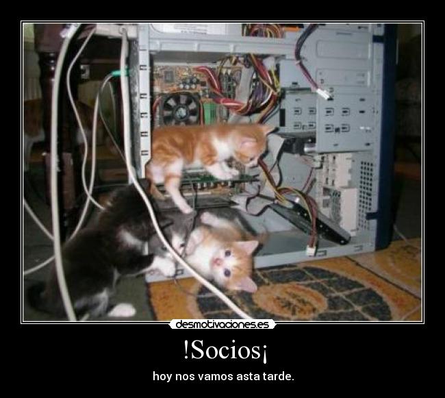!Socios¡ -