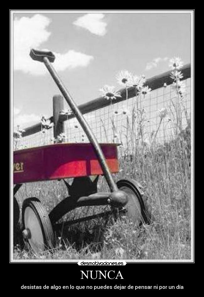 NUNCA - desistas de algo en lo que no puedes dejar de pensar ni por un día