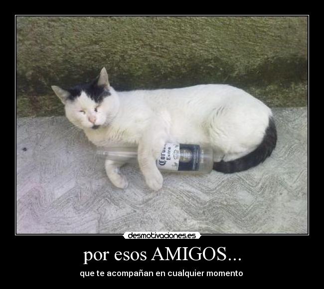 por esos AMIGOS... - 