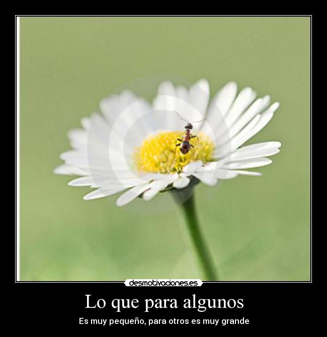 Lo que para algunos -