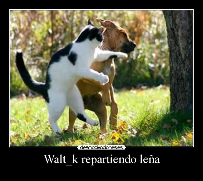 Walt_k repartiendo leña - 
