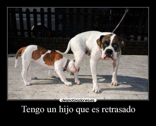 Tengo un hijo que es retrasado -