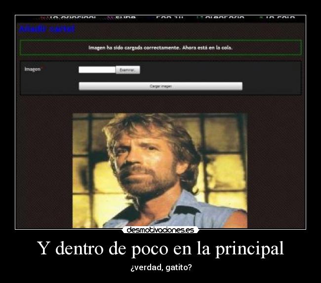 Y dentro de poco en la principal - ¿verdad, gatito?