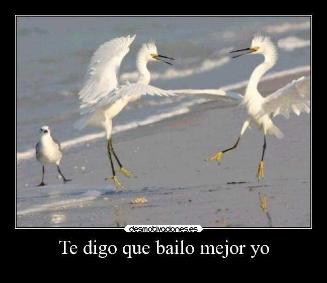 Te digo que bailo mejor yo -