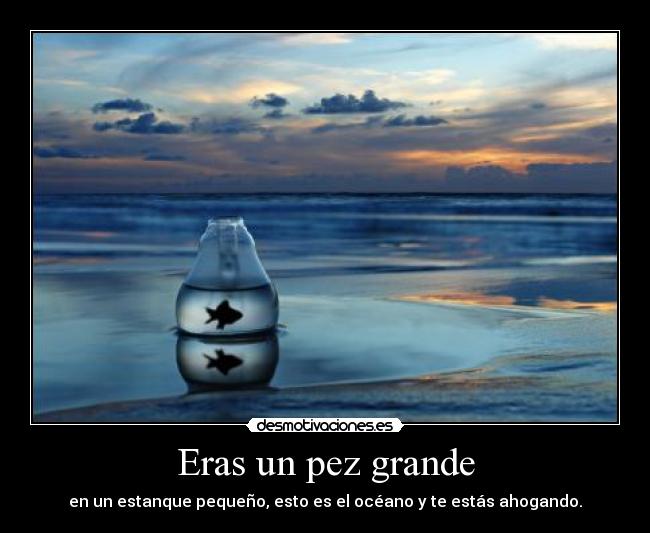 Eras un pez grande - 