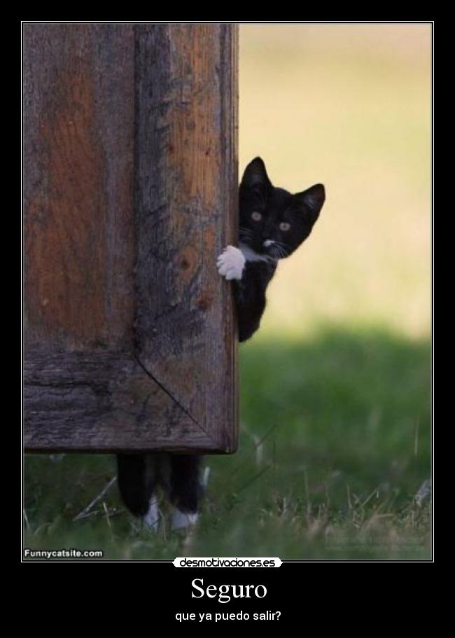 Seguro - que ya puedo salir?