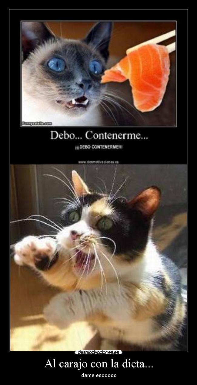 Al carajo con la dieta... - dame esooooo