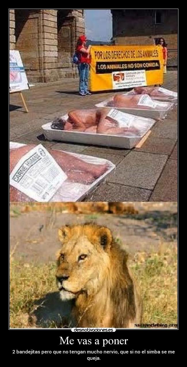 Me vas a poner - 2 bandejitas pero que no tengan mucho nervio, que si no el simba se me queja.