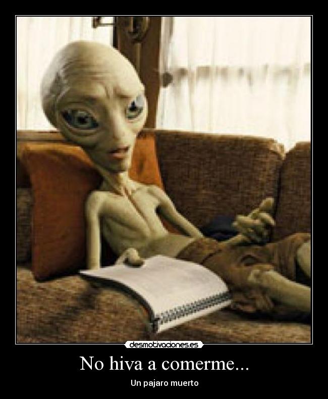 No hiva a comerme... - Un pajaro muerto
