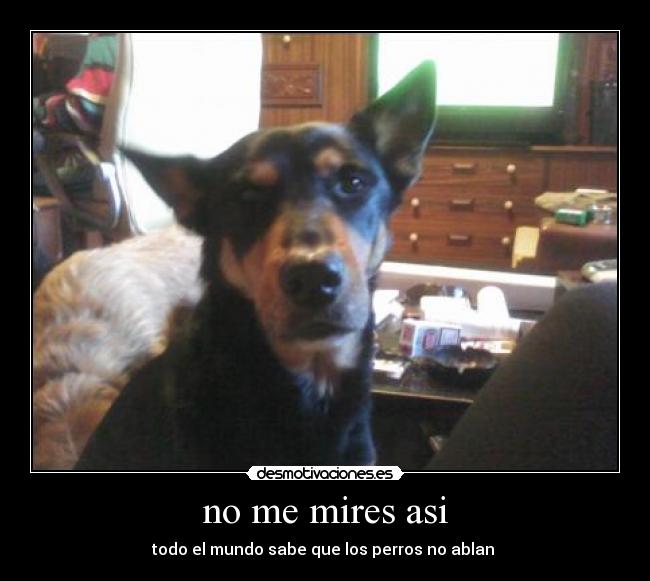 no me mires asi -