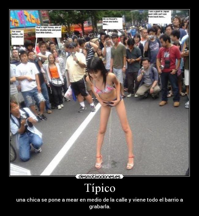 Típico - 