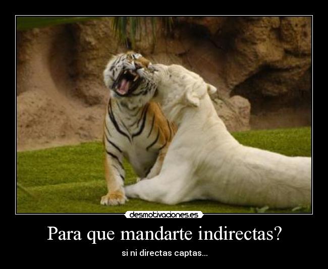 carteles secreto desmotivaciones