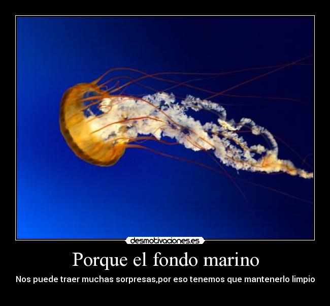 Porque el fondo marino - Nos puede traer muchas sorpresas,por eso tenemos que mantenerlo limpio