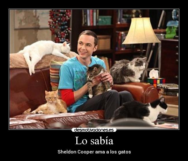 carteles sheldon cooper ama los gatos desmotivaciones
