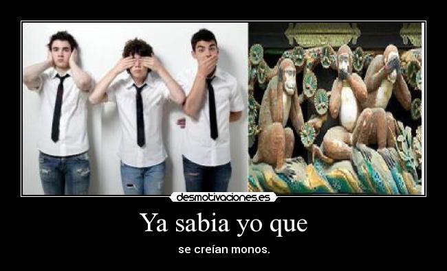 Ya sabia yo que - se creían monos.