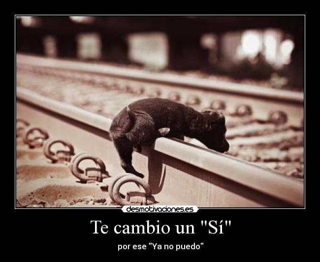 Te cambio un Sí - 