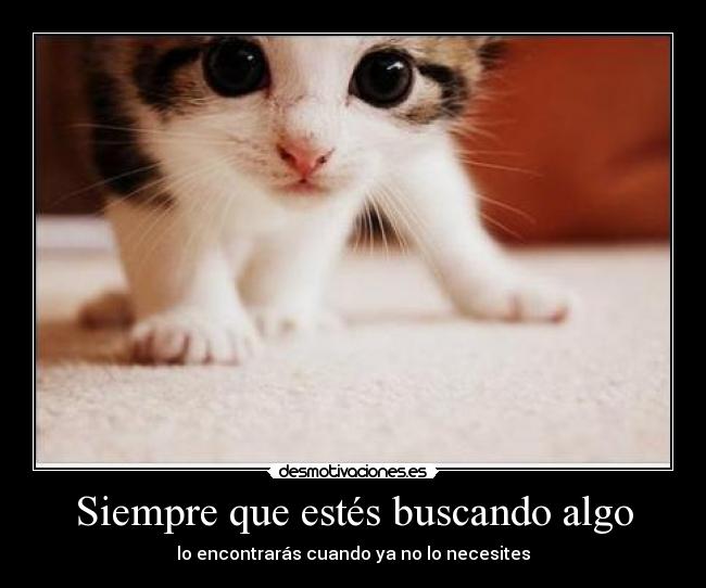 Siempre que estés buscando algo - 