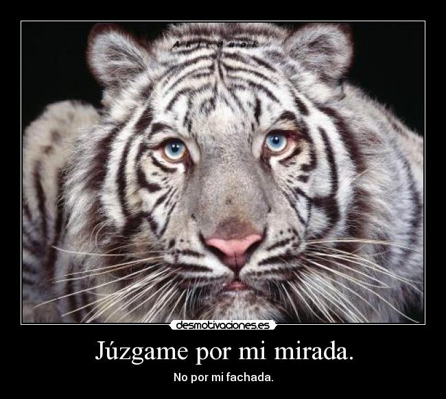 Júzgame por mi mirada. - 