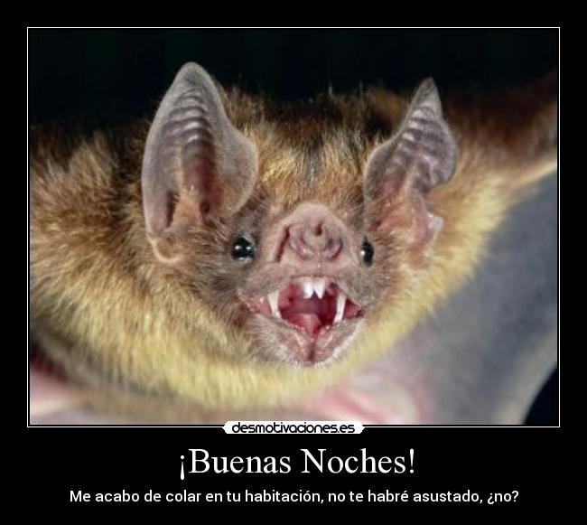 ¡Buenas Noches! - Me acabo de colar en tu habitación, no te habré asustado, ¿no?