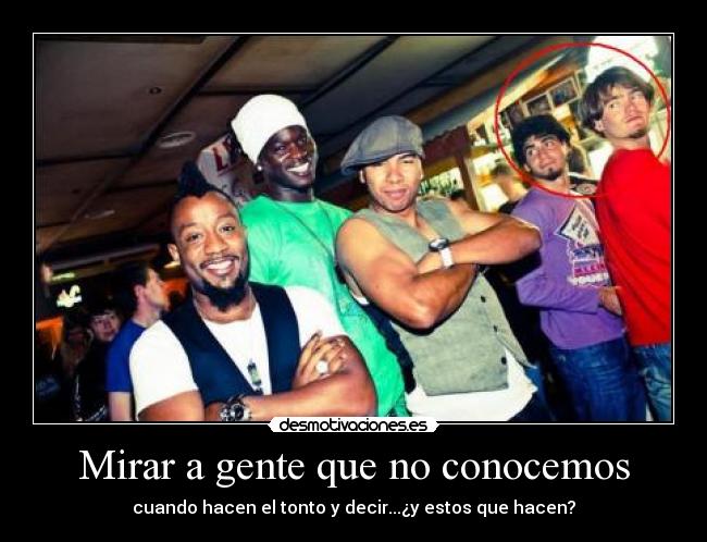 carteles gato desmotivaciones