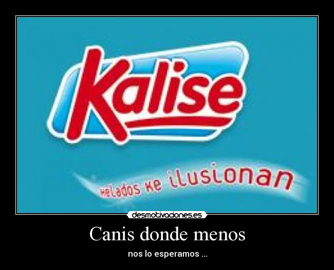 Canis donde menos -