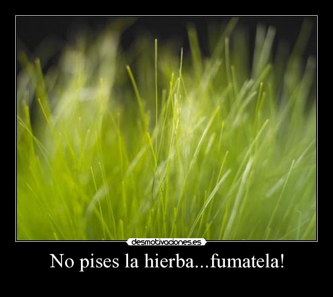 No pises la hierba...fumatela! -