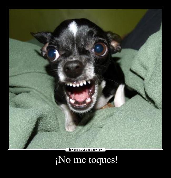 ¡No me toques! - 