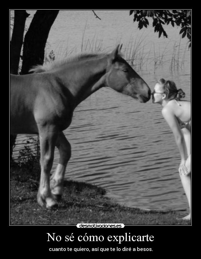 carteles amor besos beso explicar querer quiero amo desmotivaciones