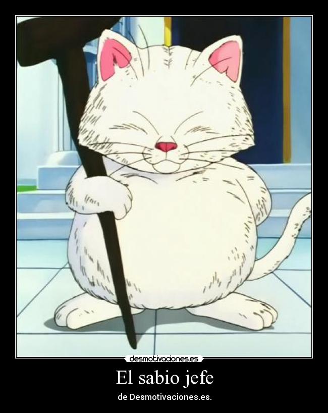 El sabio jefe - 
