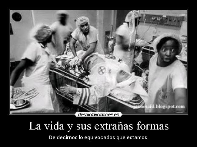 La vida y sus extrañas formas - De decirnos lo equivocados que estamos.