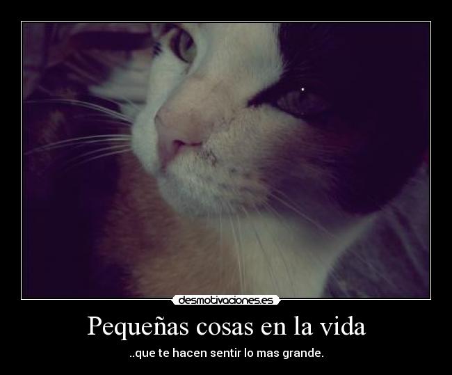 Pequeñas cosas en la vida - ..que te hacen sentir lo mas grande.