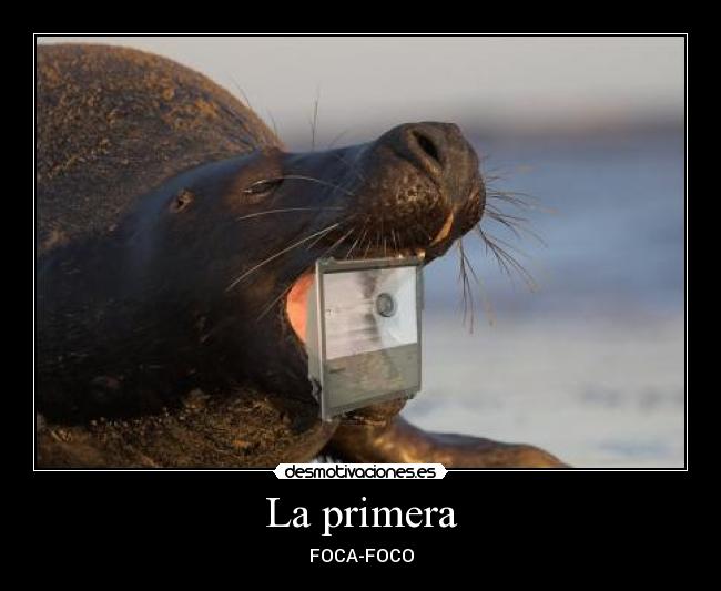 La primera - FOCA-FOCO
