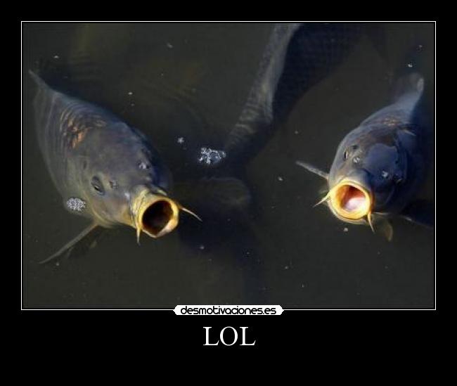 LOL -