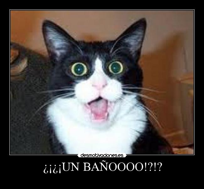 ¿¡¿¡UN BAÑOOOO!?!? -