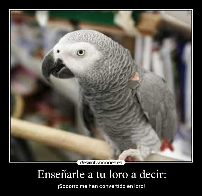 carteles ensenarle loro decir desmotivaciones