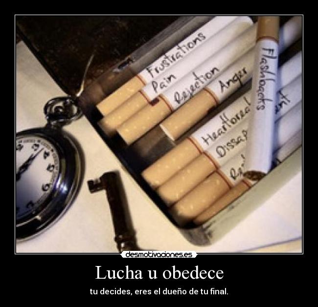 Lucha u obedece - tu decides, eres el dueño de tu final.