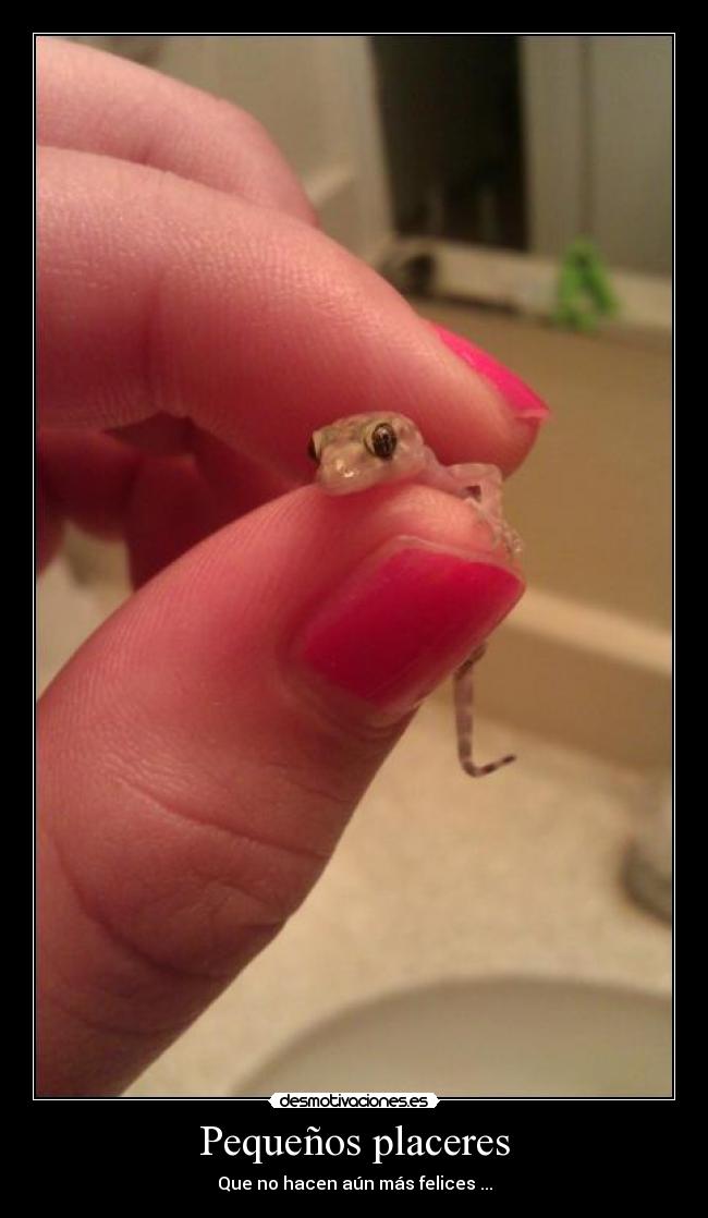Pequeños placeres - 