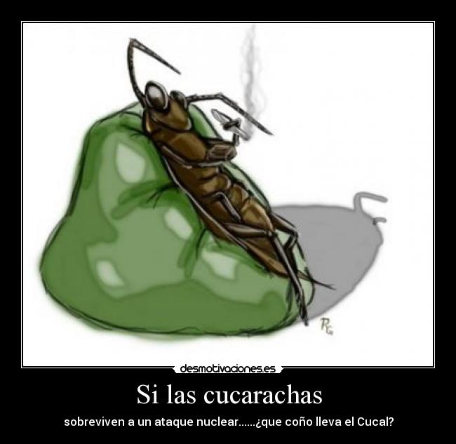 carteles cucarachas desmotivaciones