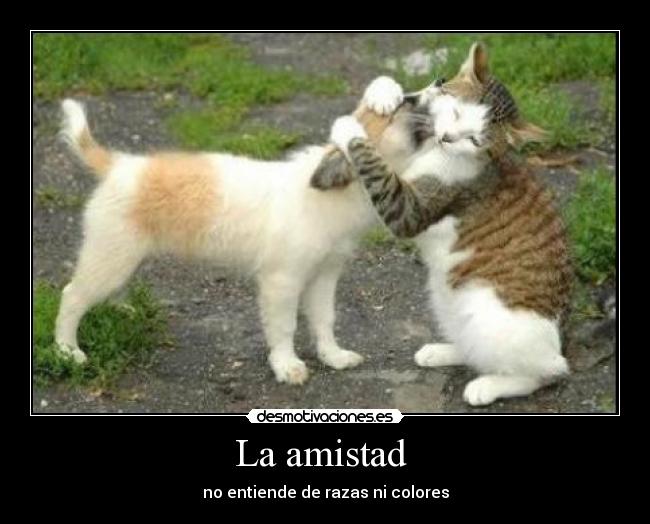 La amistad -