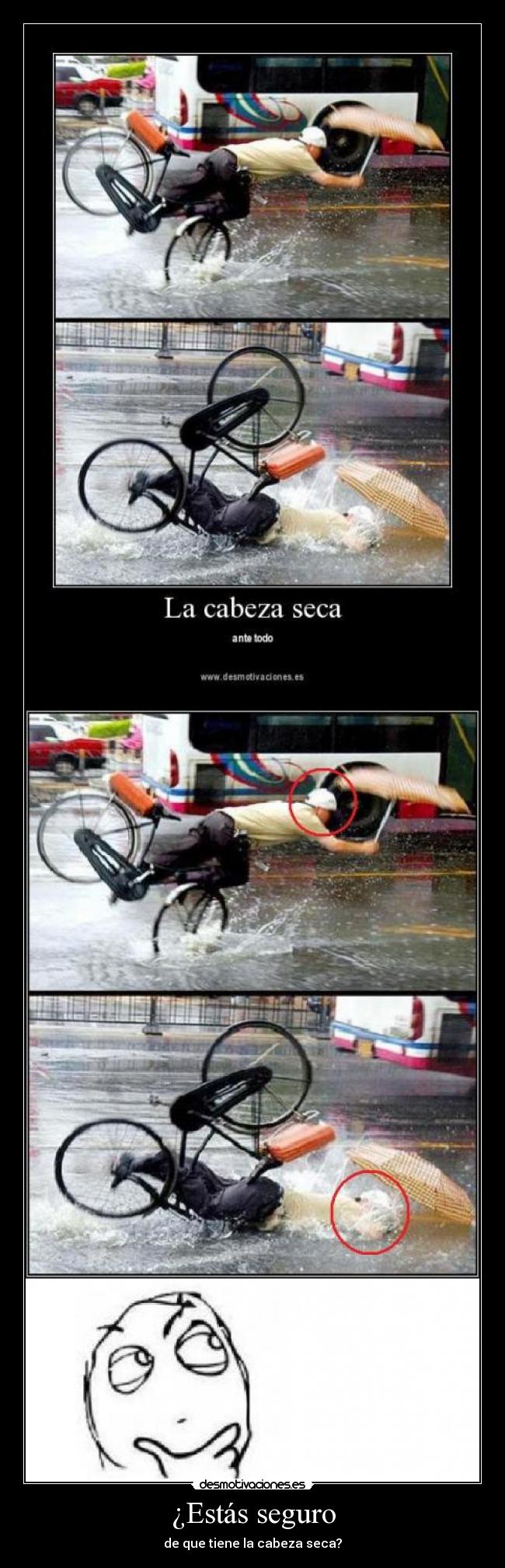 ¿Estás seguro - de que tiene la cabeza seca?