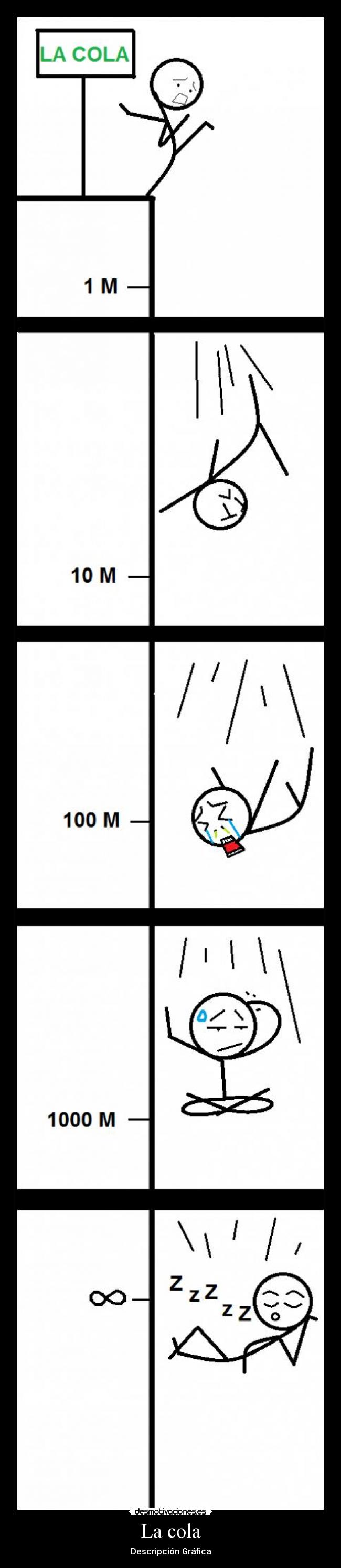 La cola - Descripción Gráfica