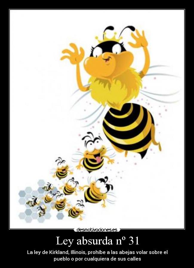 Ley absurda nº 31 - La ley de Kirkland, Illinois, prohíbe a las abejas volar sobre el
pueblo o por cualquiera de sus calles