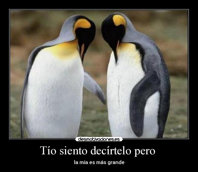 Tío siento decírtelo pero - la mía es más grande