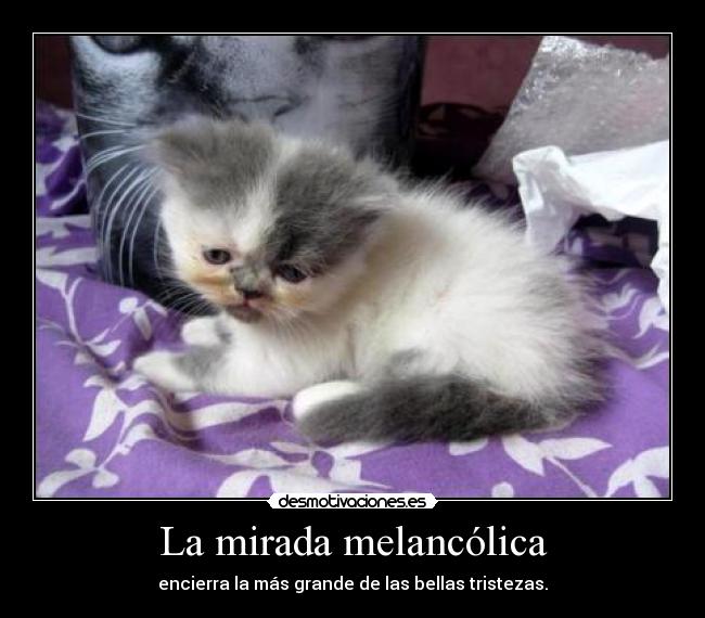 La mirada melancólica - encierra la más grande de las bellas tristezas.