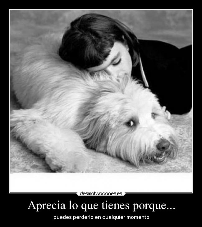 Aprecia lo que tienes porque... - puedes perderlo en cualquier momento