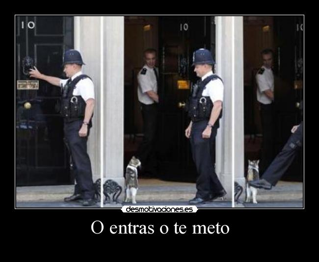 O entras o te meto - 