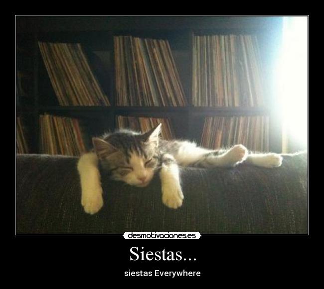 carteles siestas siestas everywhere desmotivaciones