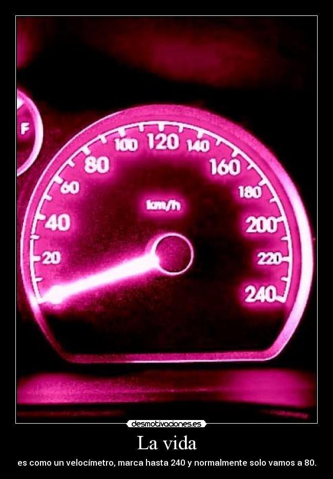 La vida - es como un velocímetro, marca hasta 240 y normalmente solo vamos a 80.