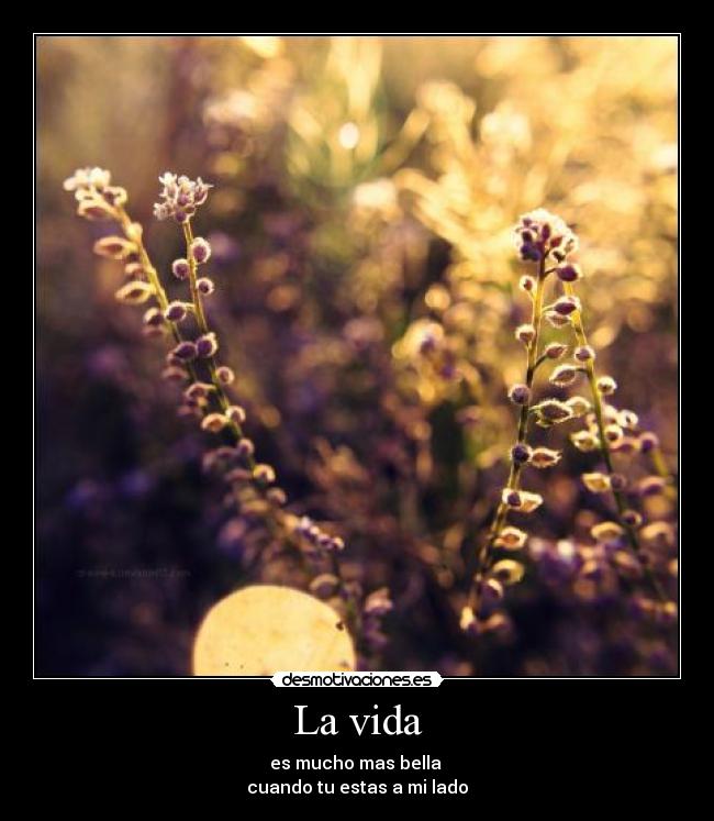 La vida - 